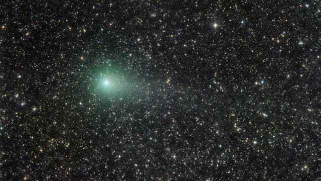 Comet C/2016 M1 PANSTARRS at maximum