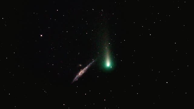 Komet C/2021 A1 Leonard bei NGC 4631