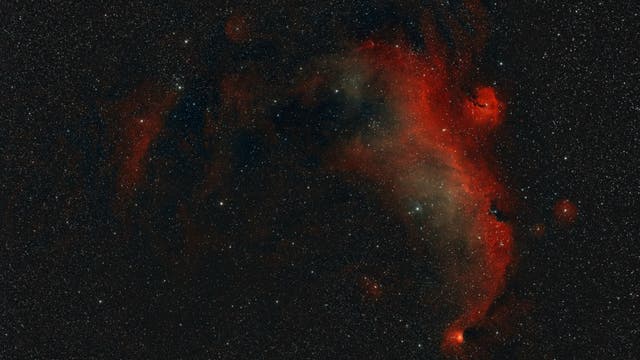IC 2177 - Seemöwe im Dualband