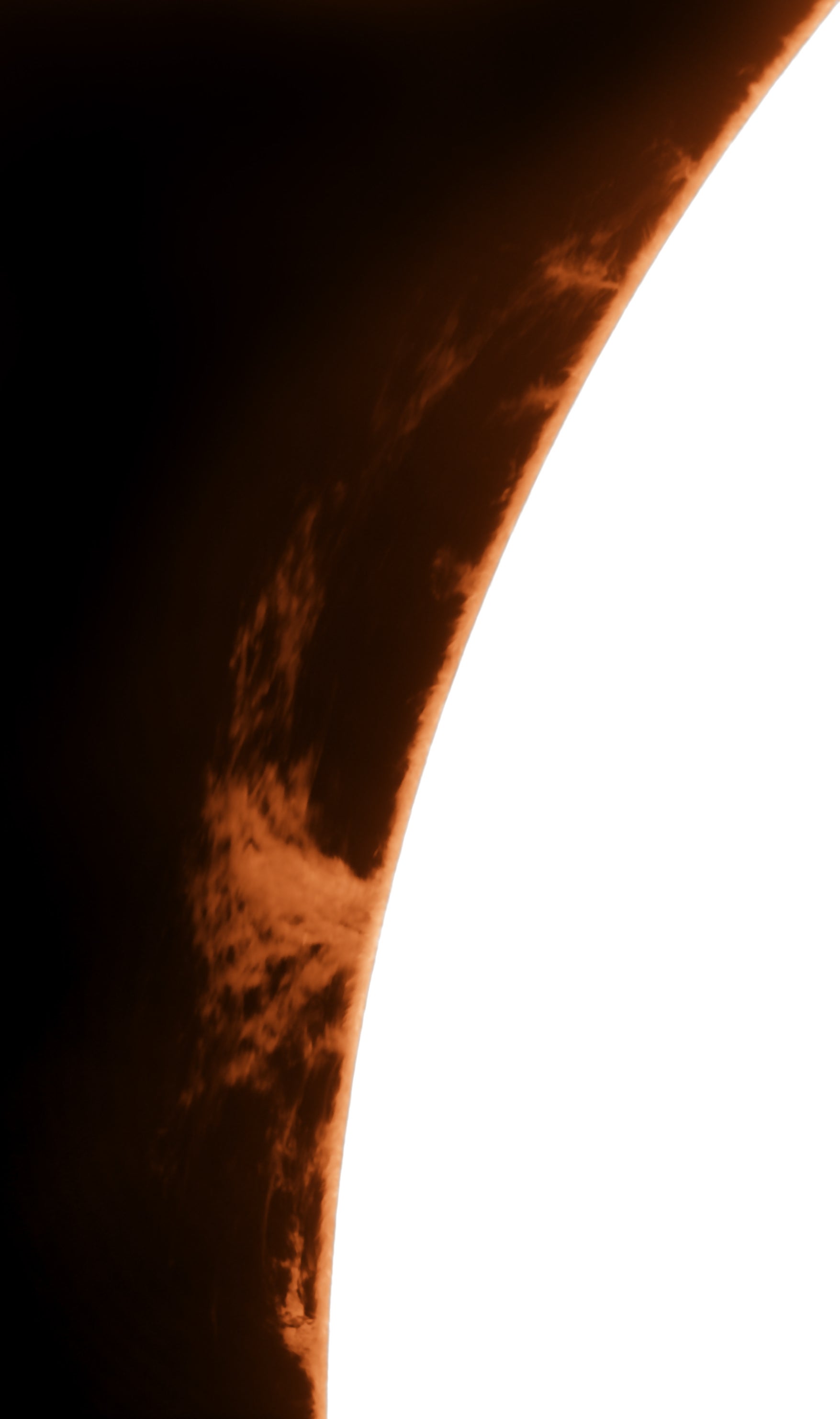 Nohemy leaked onlyfans Nude and Porn Leaks from Onlyfans,