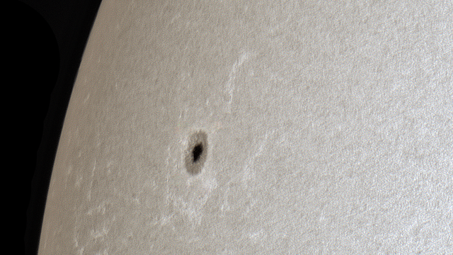 Sonnenfleck AR 2833 am 14. Juni 2021