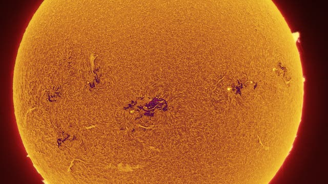 Sonne mit großen Protuberanzen im H-alpha-Licht 