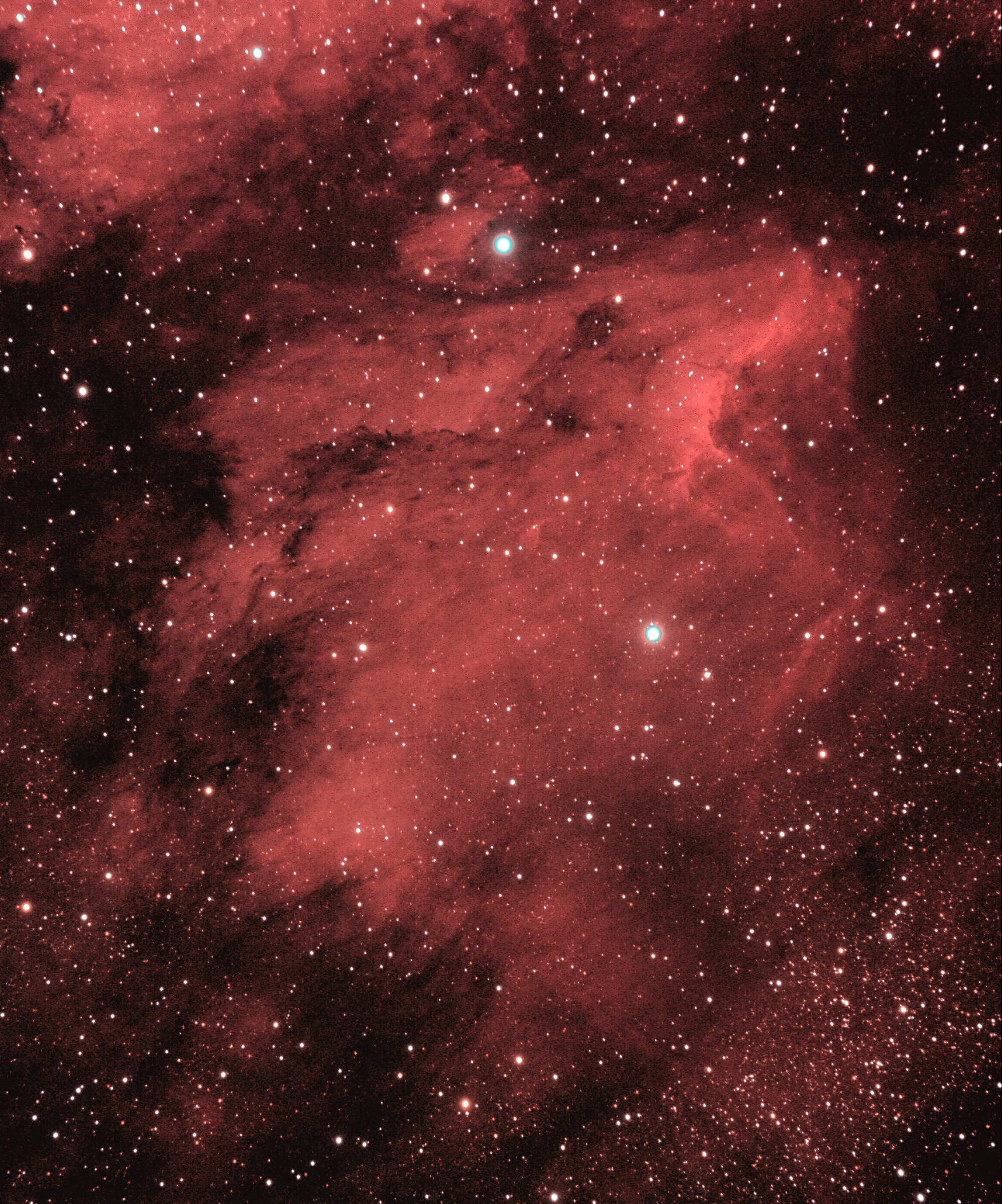 Pelikannebel IC 5070 im Sternbild Schwan vom 22.+29.05.2009