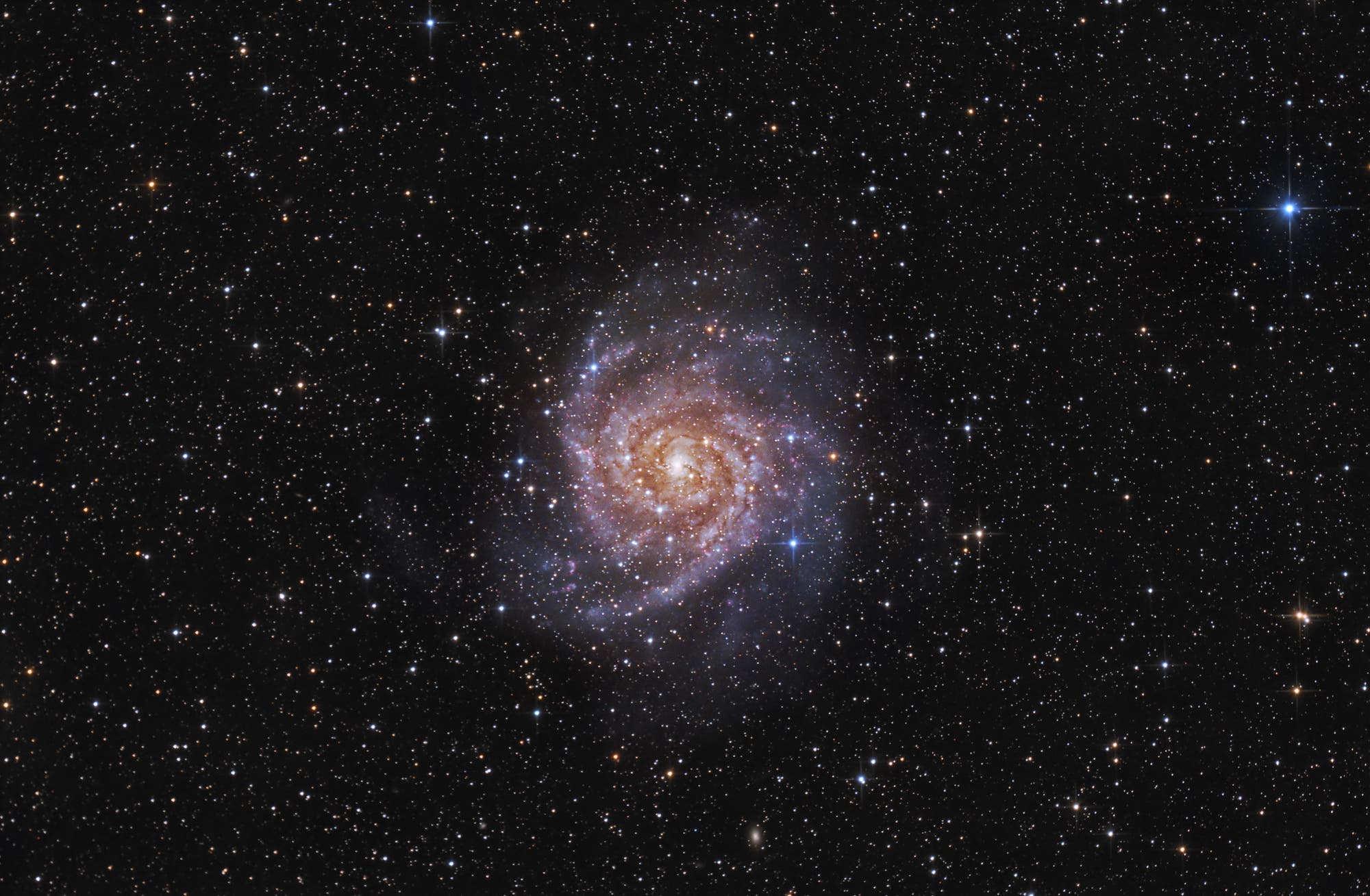 IC 342, die verborgene Galaxie