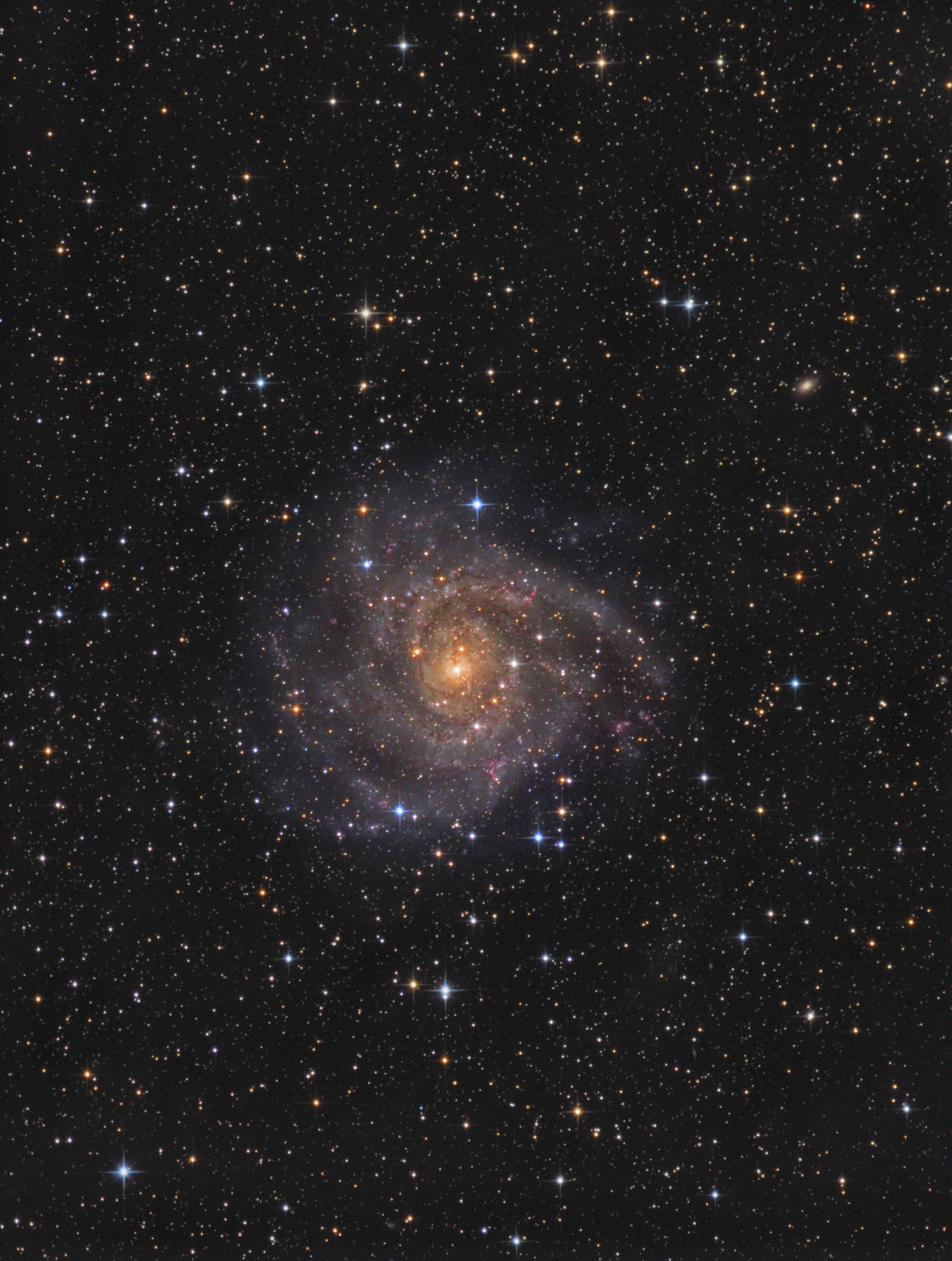 IC 342 - die "versteckte" Galaxie