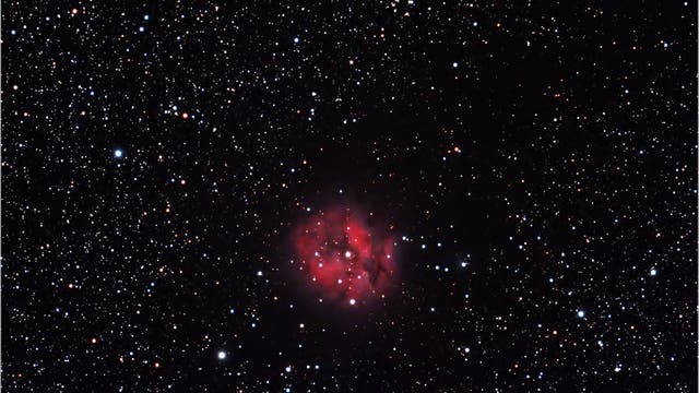 IC 5146 Cocoon-Nebel