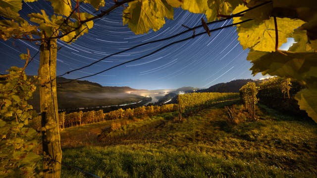 Eine Herbstnacht im Weinberg