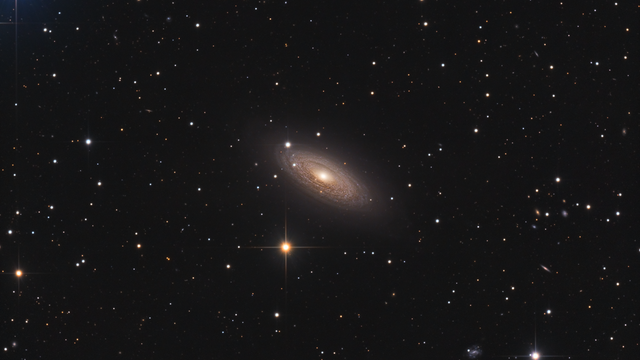 NGC 2841 - Spiralgalaxie im Großen Bären