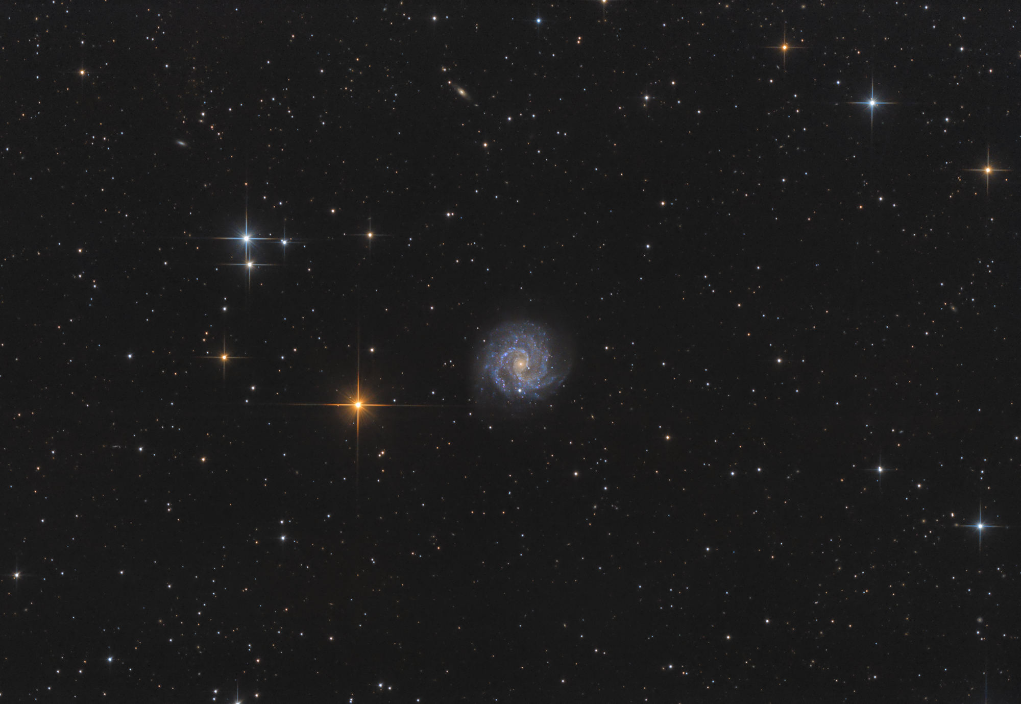 NGC 3184 Galaxie im Großen Bären