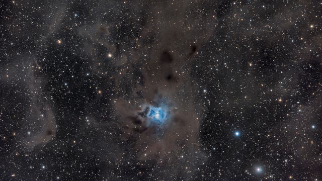 Irisnebel NGC 7023 