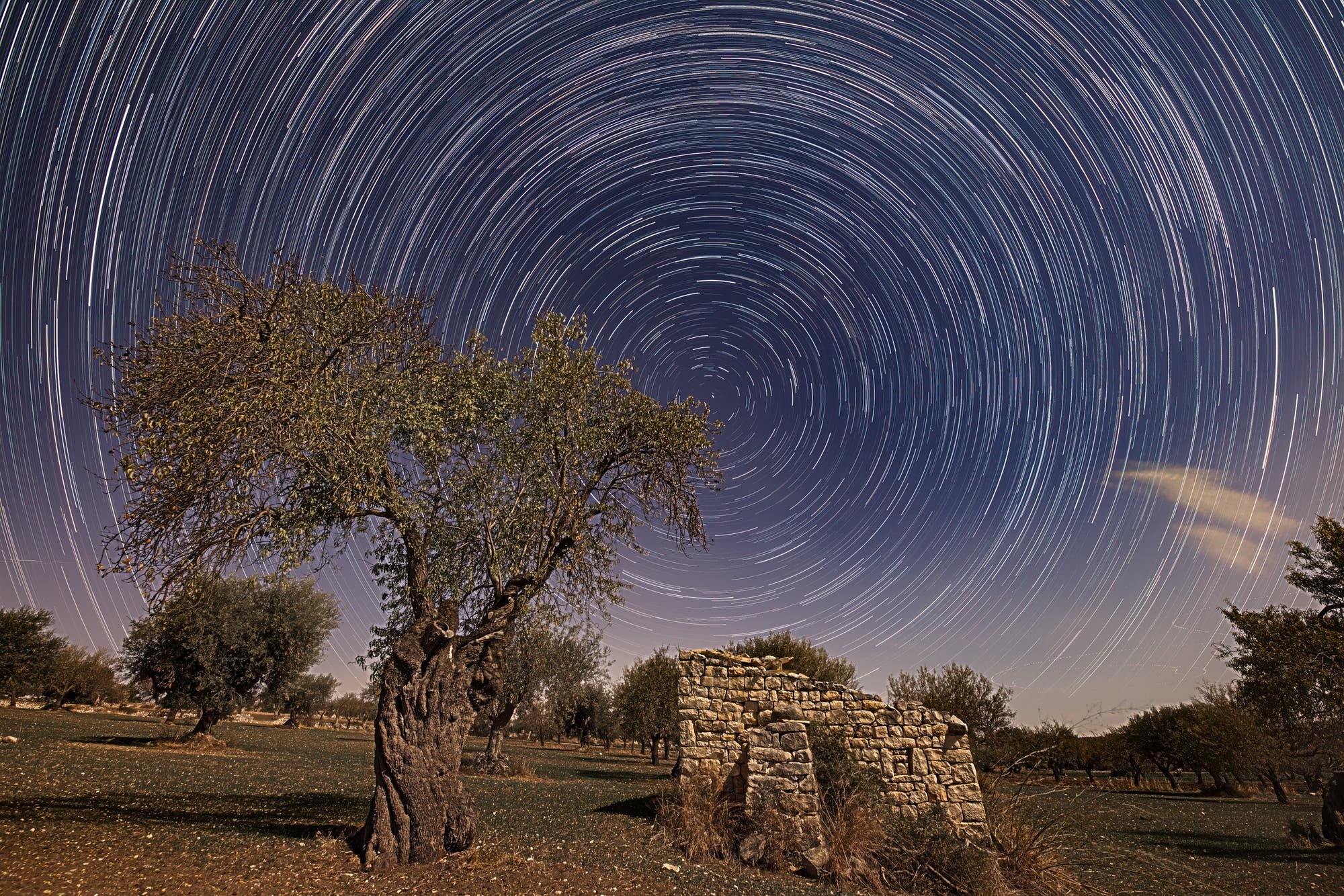 Startrails with Moonlight