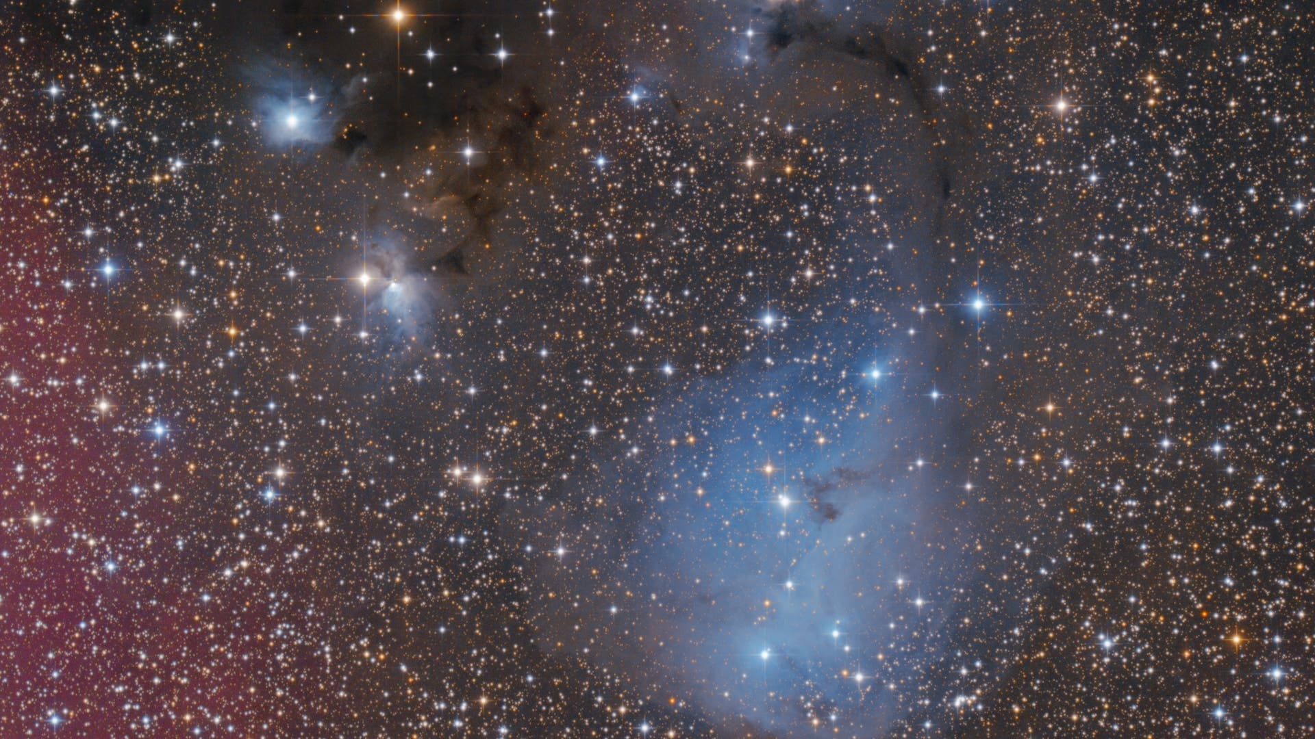 IC 447 Spektrum der Wissenschaft