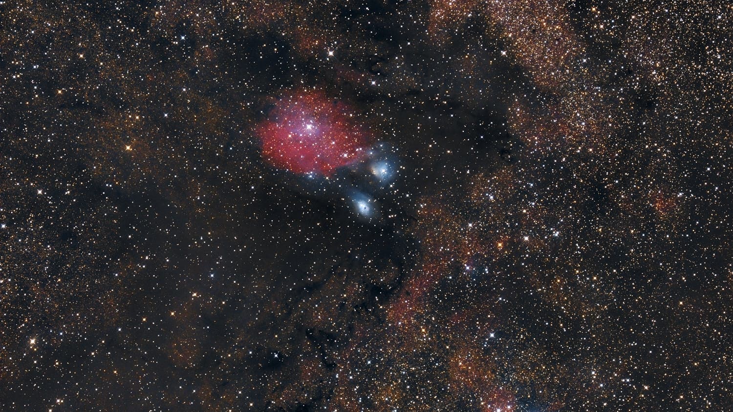 NGC 6595 Spektrum der Wissenschaft