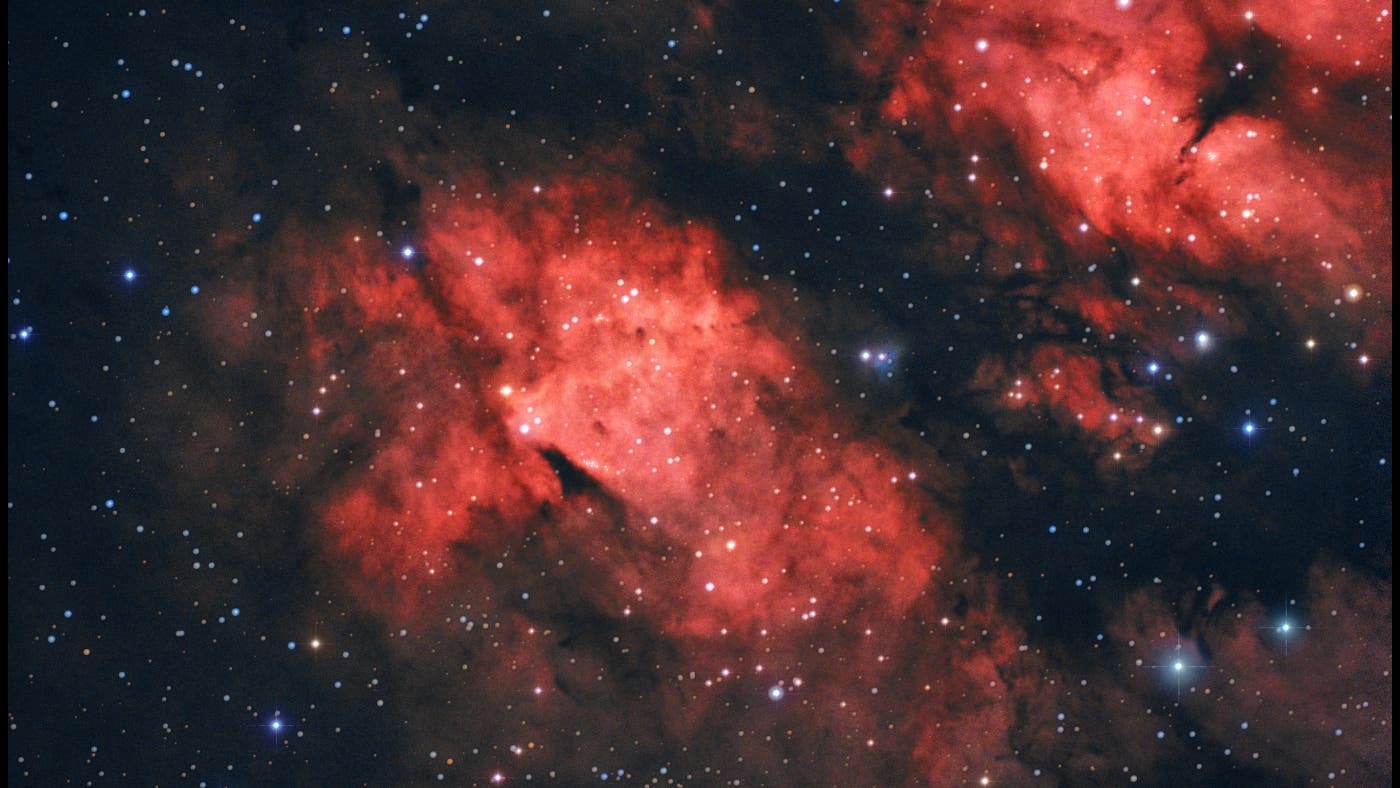 IC1318b + IC1318c (Cyg) Schmetterlingsnebel Spektrum der Wissenschaft