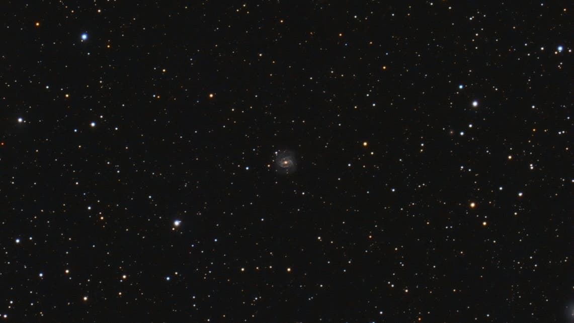 NGC 7080 im Füchslein Spektrum der Wissenschaft