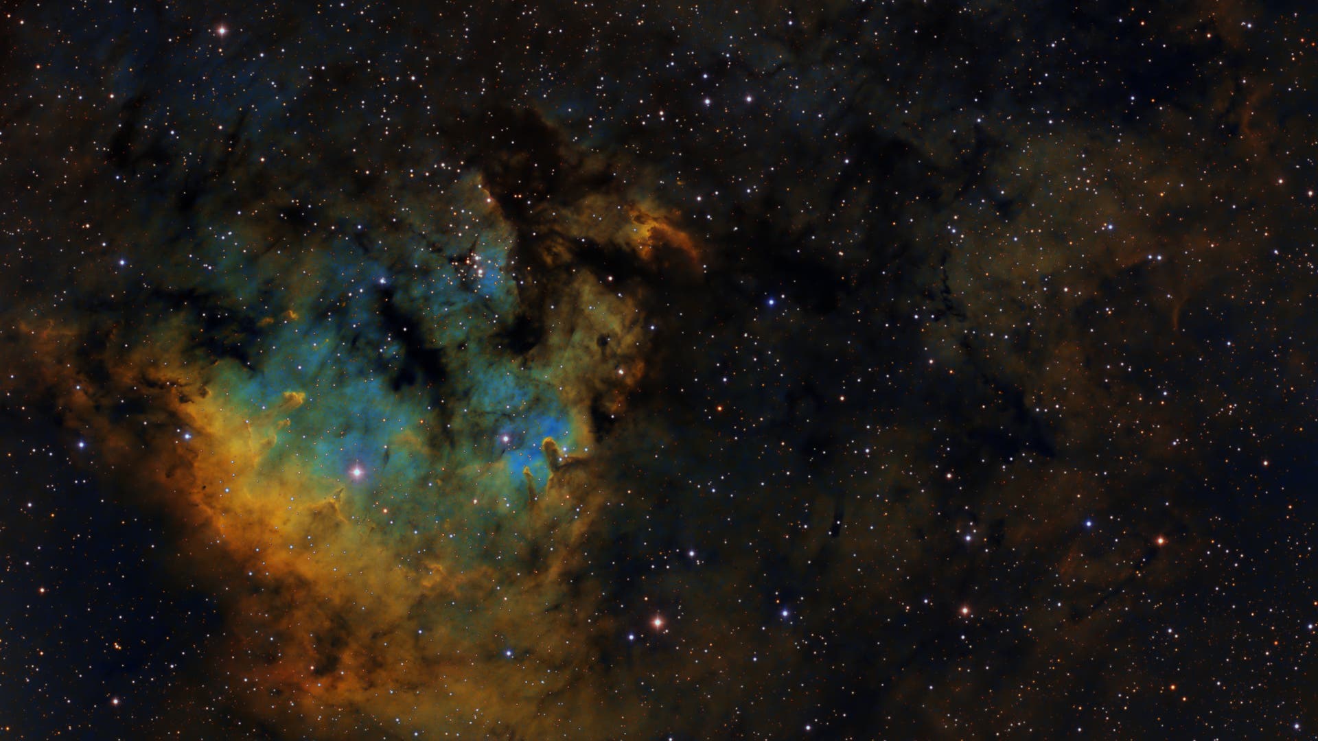 NGC 7822 - Spektrum der Wissenschaft