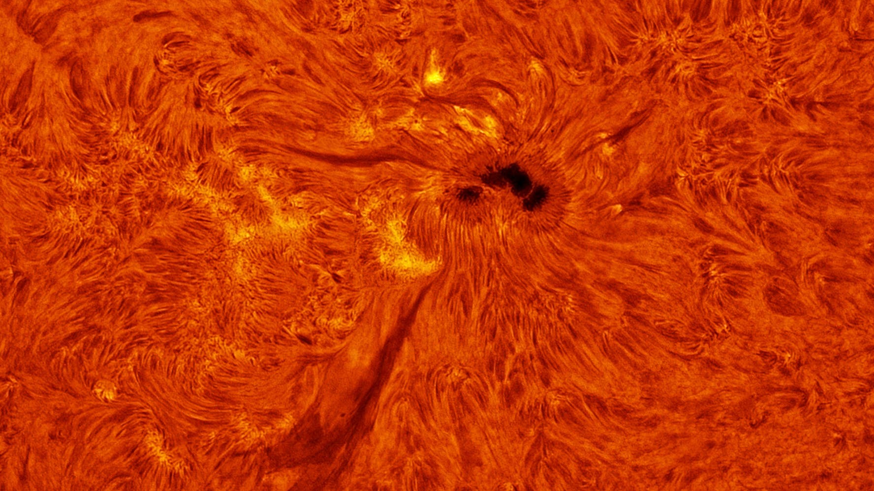 AR 13477 WL, Ca-K, H-Alpha - Spektrum der Wissenschaft
