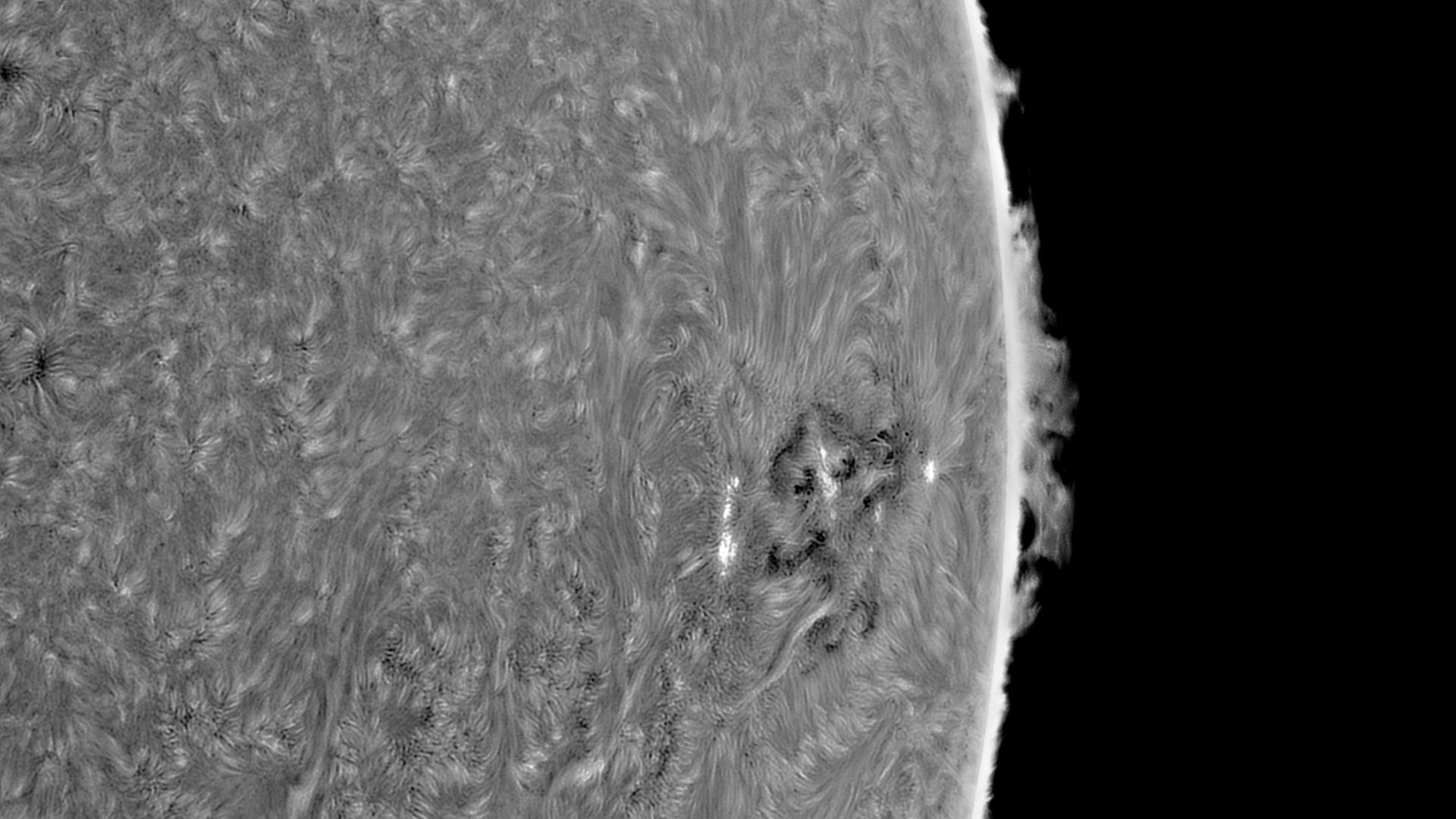 Sonne in H-alpha AR 3654