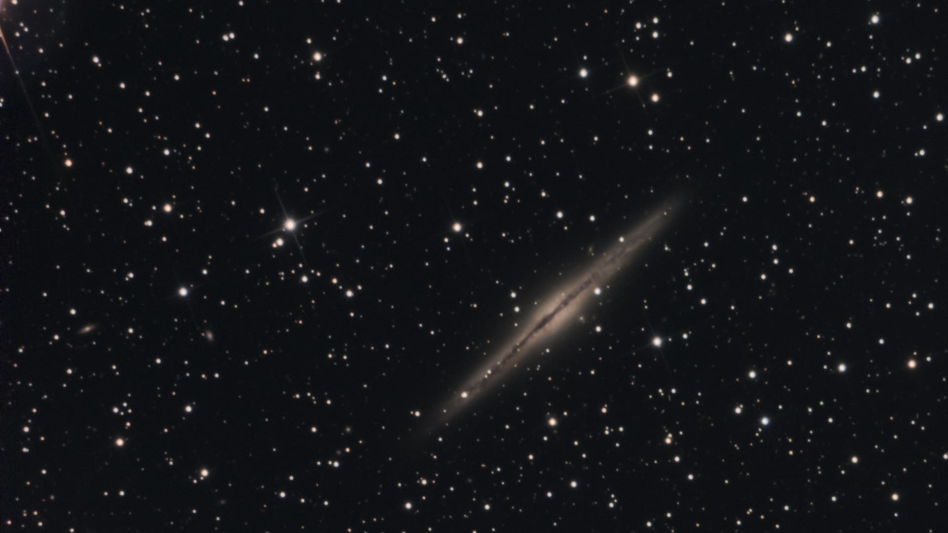 NGC 891 (C23) Spektrum der Wissenschaft