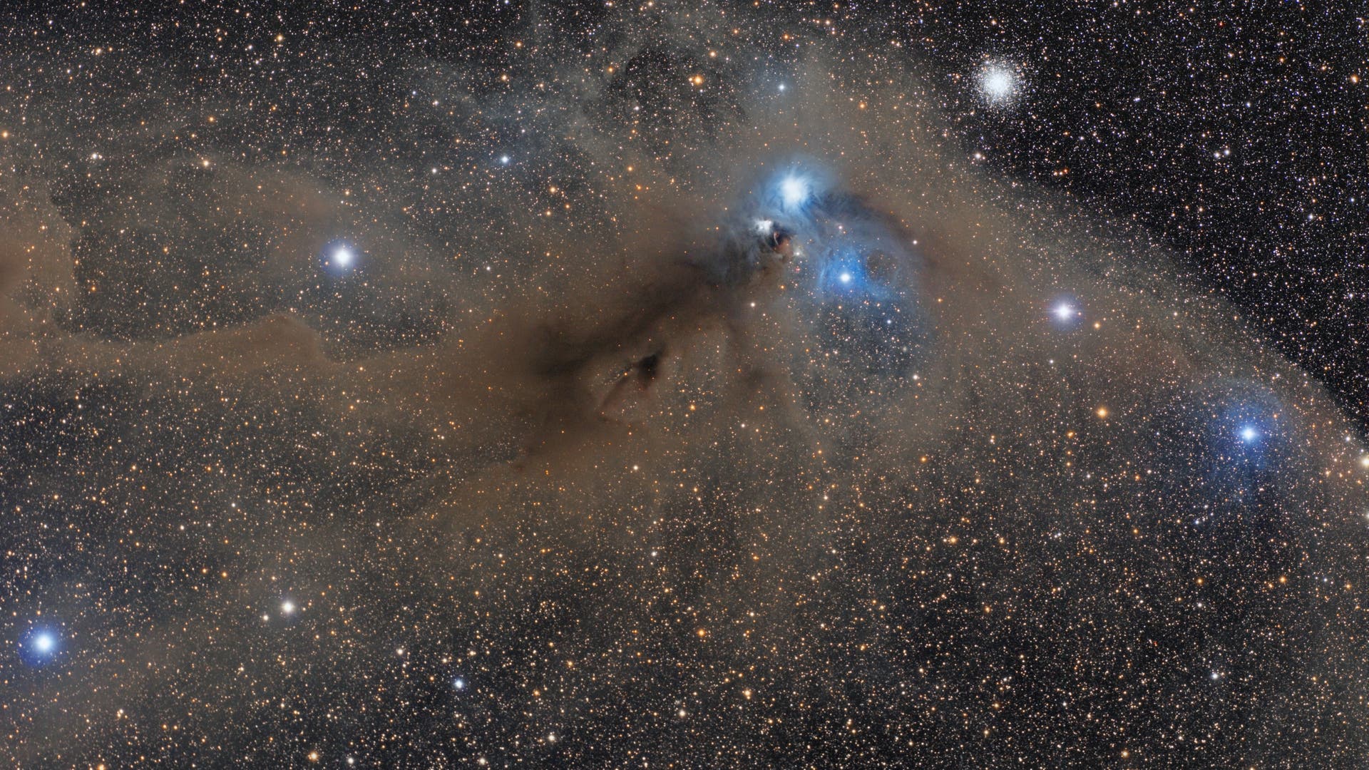 Corona Australis Spektrum der Wissenschaft