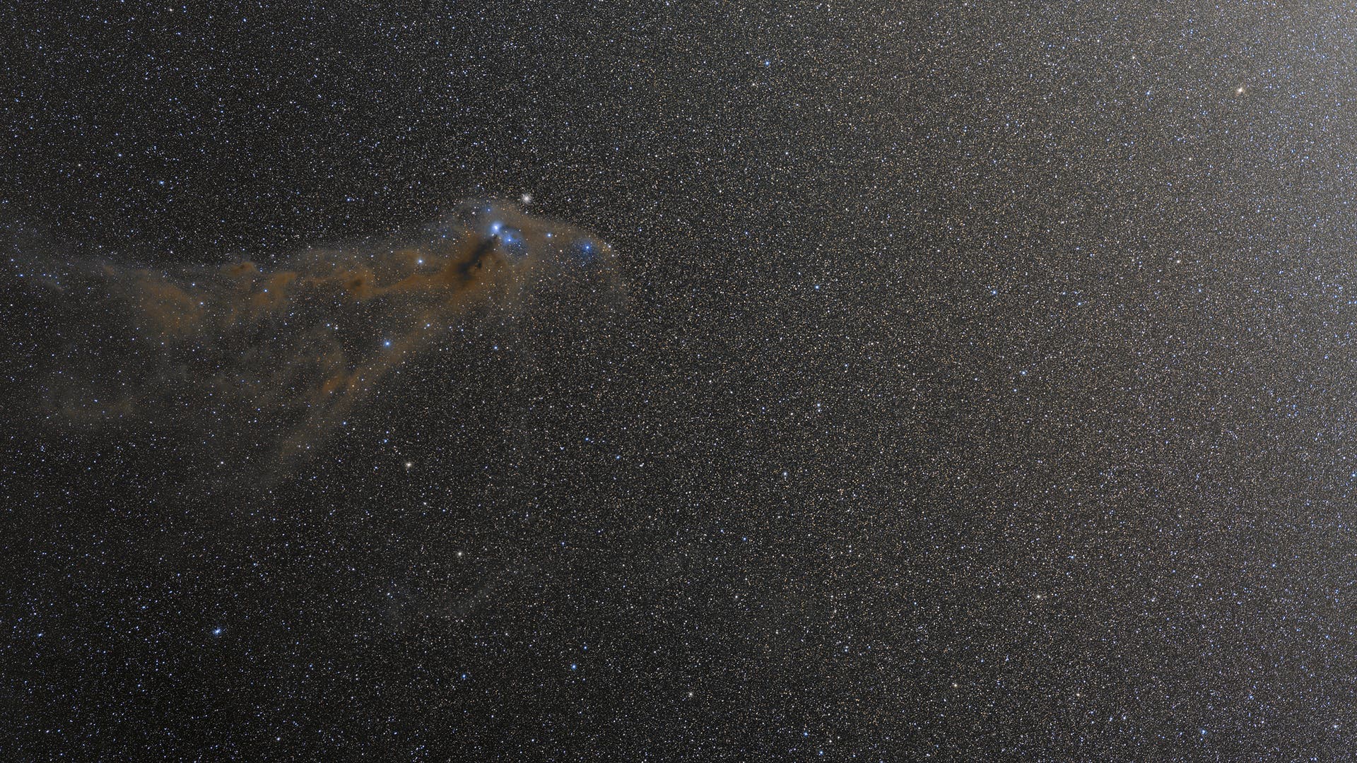 Corona Australis Weitfeld Spektrum der Wissenschaft