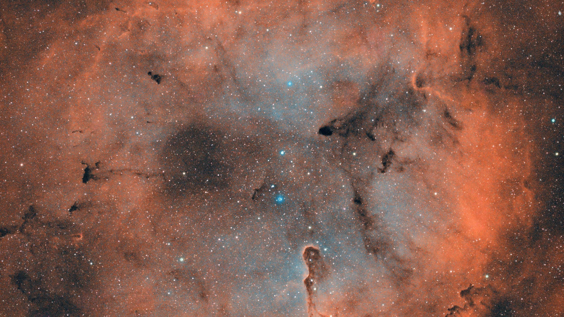 IC1396 (Olifantenslurf) – Wetenschapsspectrum