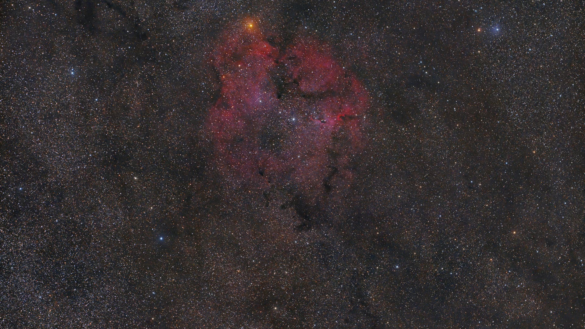 IC 1396 Spektrum der Wissenschaft
