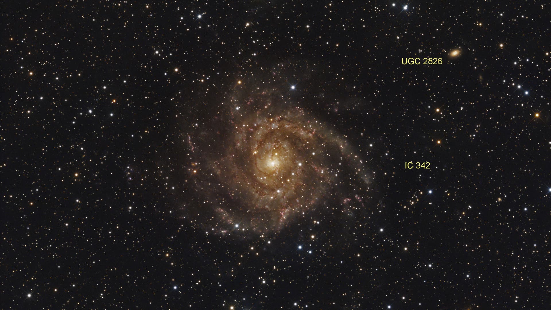 Hidden Galaxy Ic342 Spektrum Der Wissenschaft 