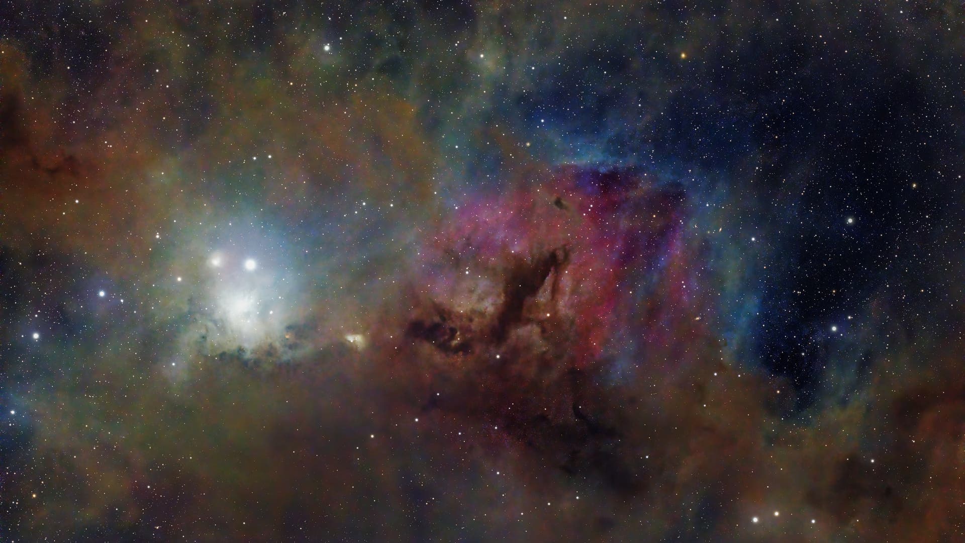 IC 348 Spektrum der Wissenschaft