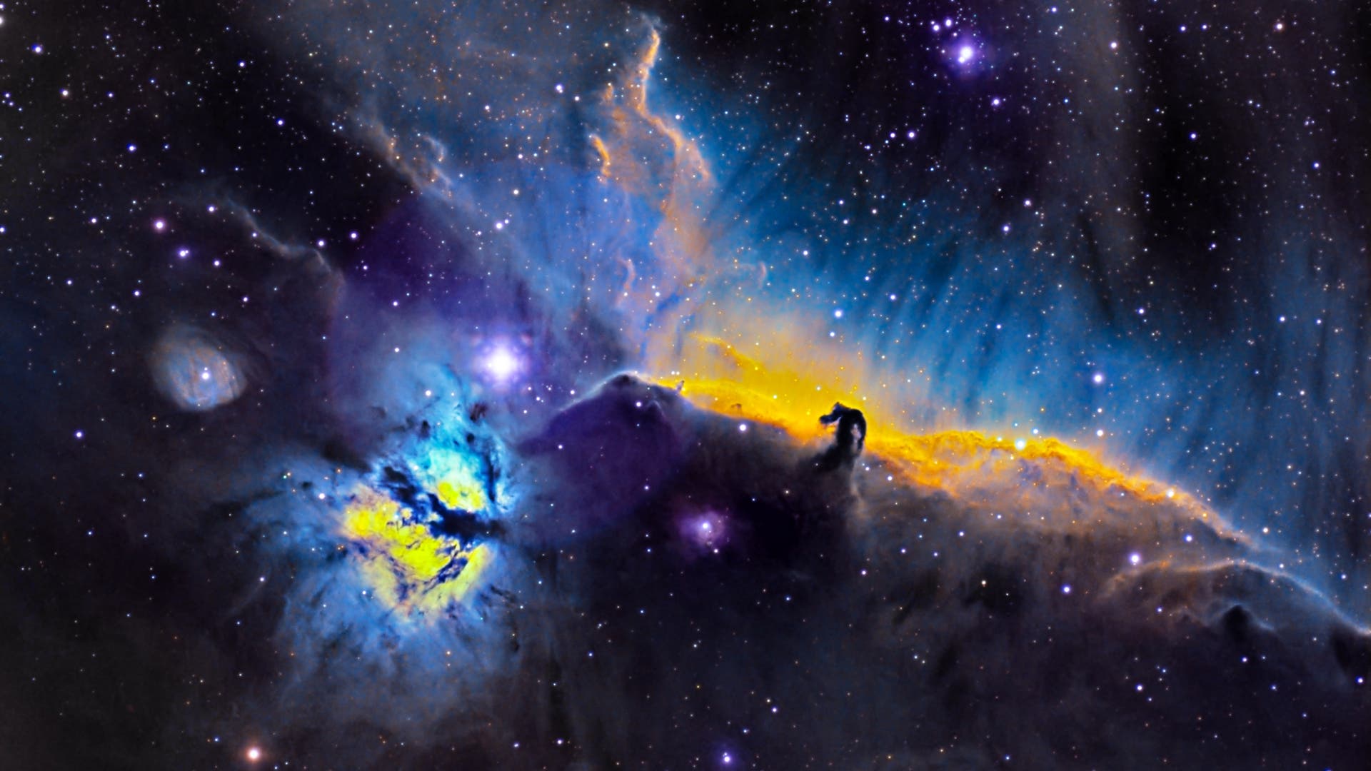 IC 434 und NGC 2024 Spektrum der Wissenschaft