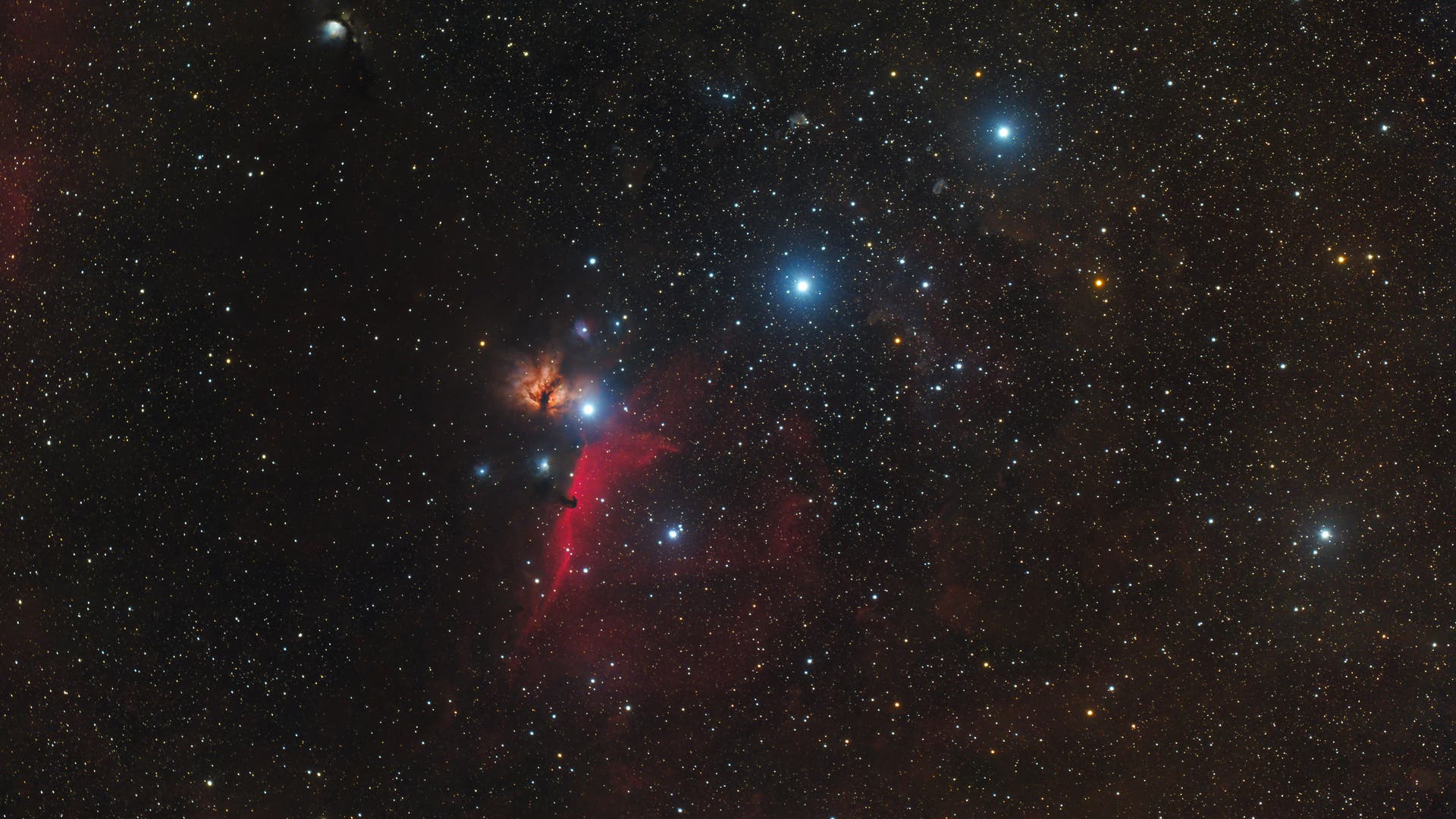 IC 434 und NGC 2024 Spektrum der Wissenschaft