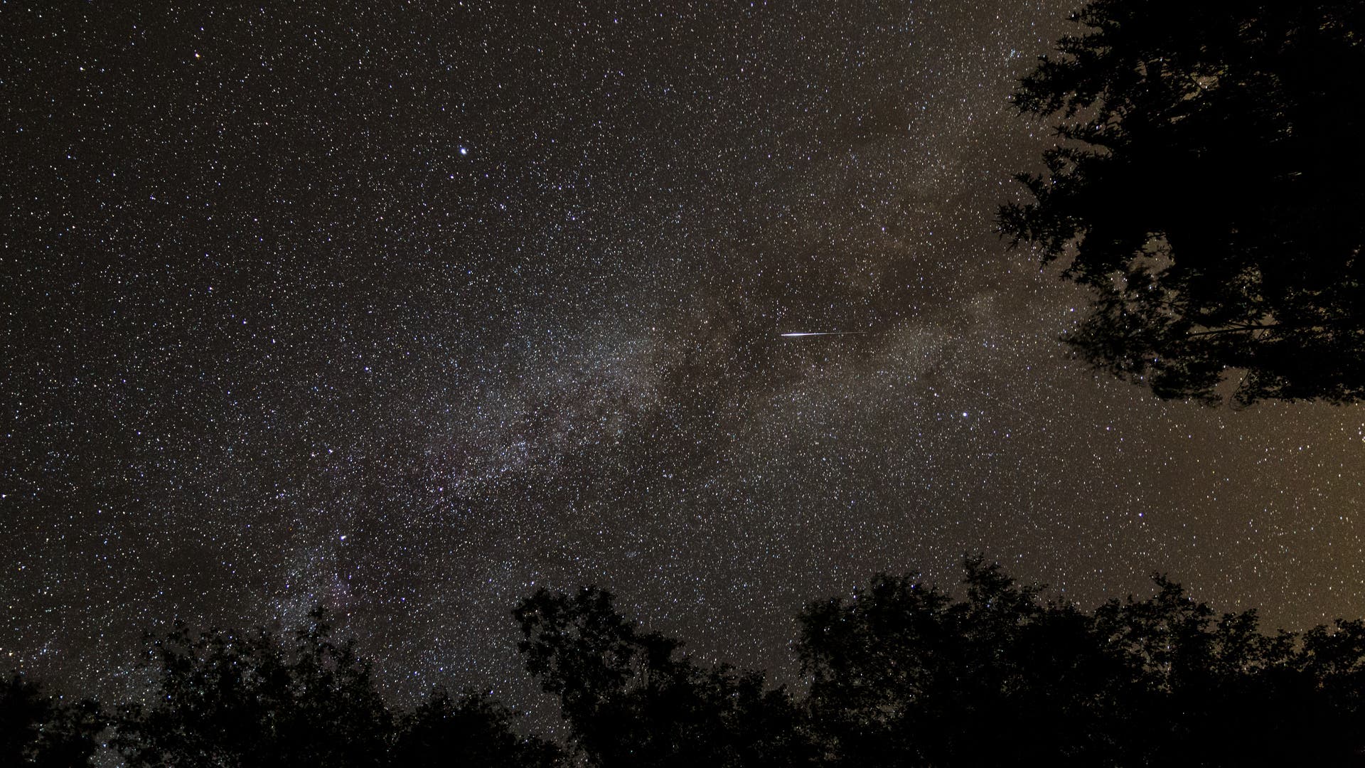 Meteor Spektrum der Wissenschaft