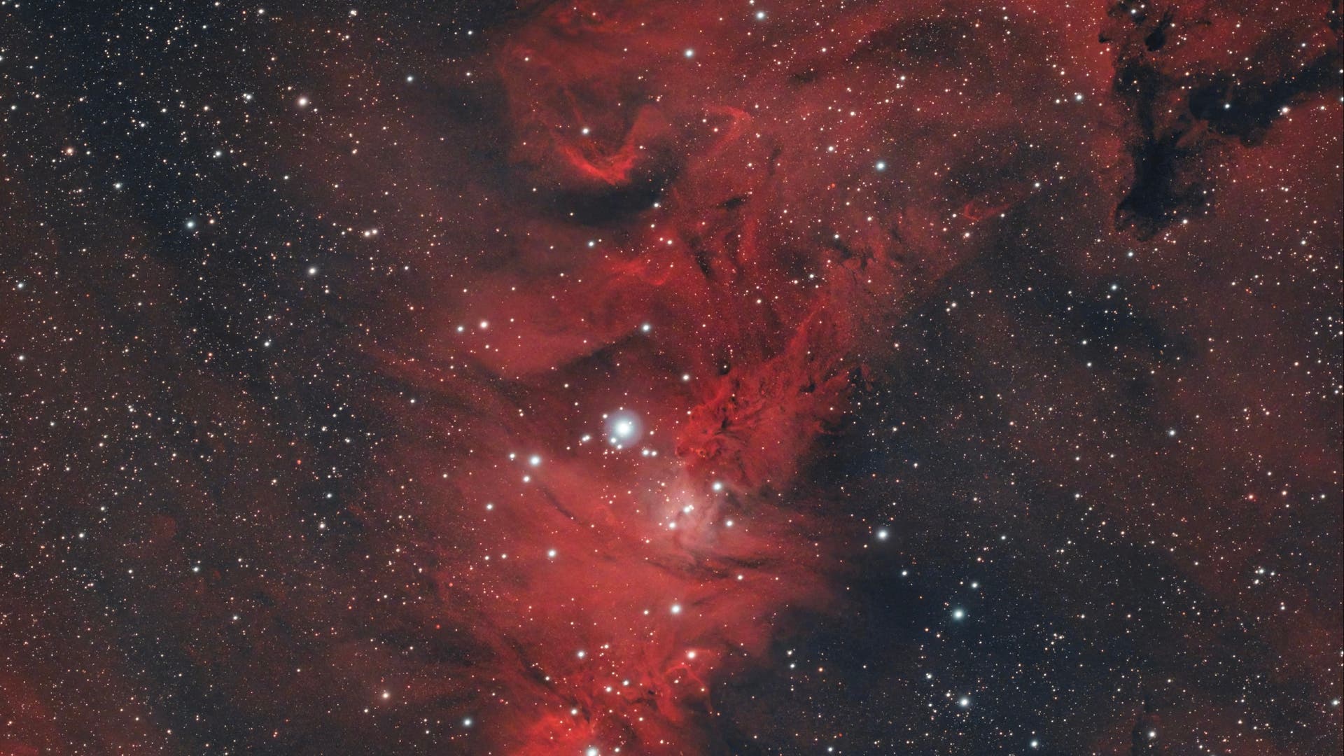 NGC 2264