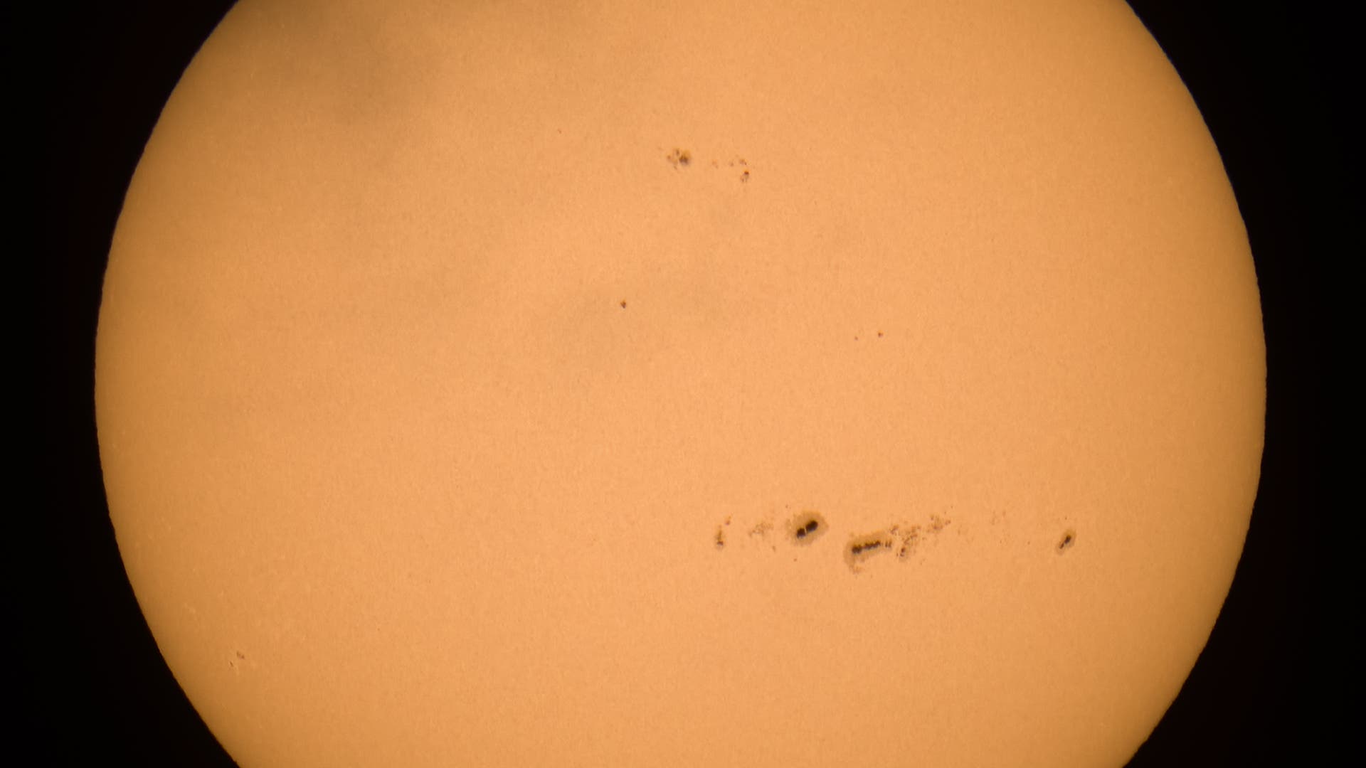 Ganze Sonne im Weißlicht am 7. Dezember