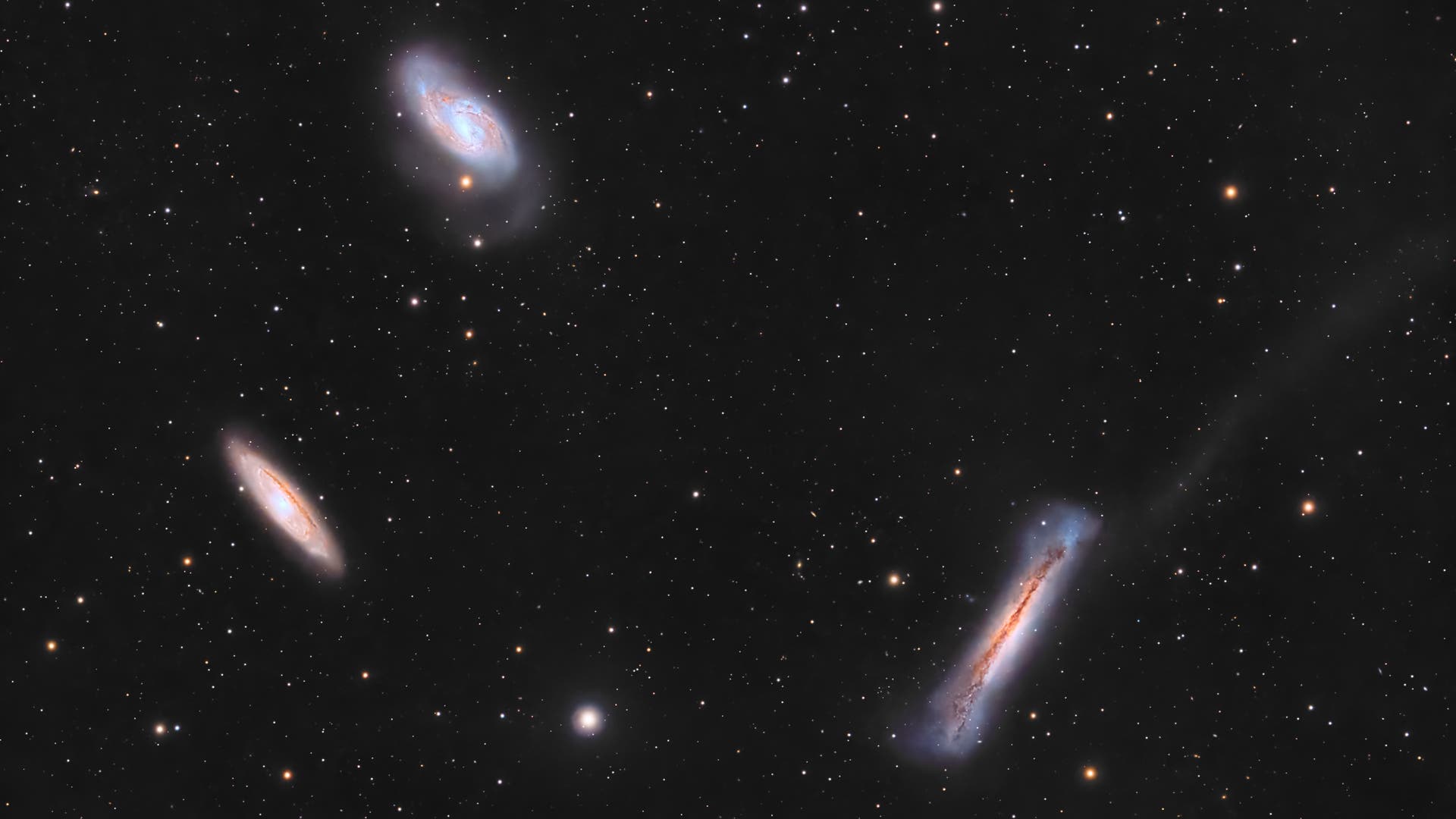 LöweTriplett Spektrum der Wissenschaft
