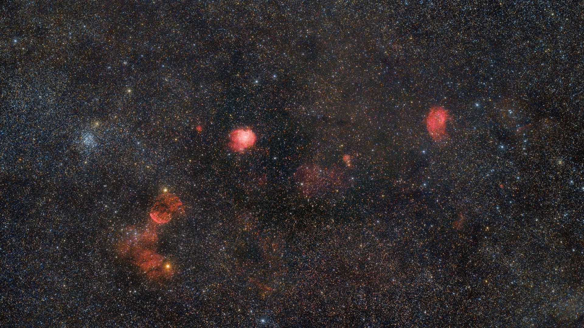 Rund um den Affenkopf Spektrum der Wissenschaft