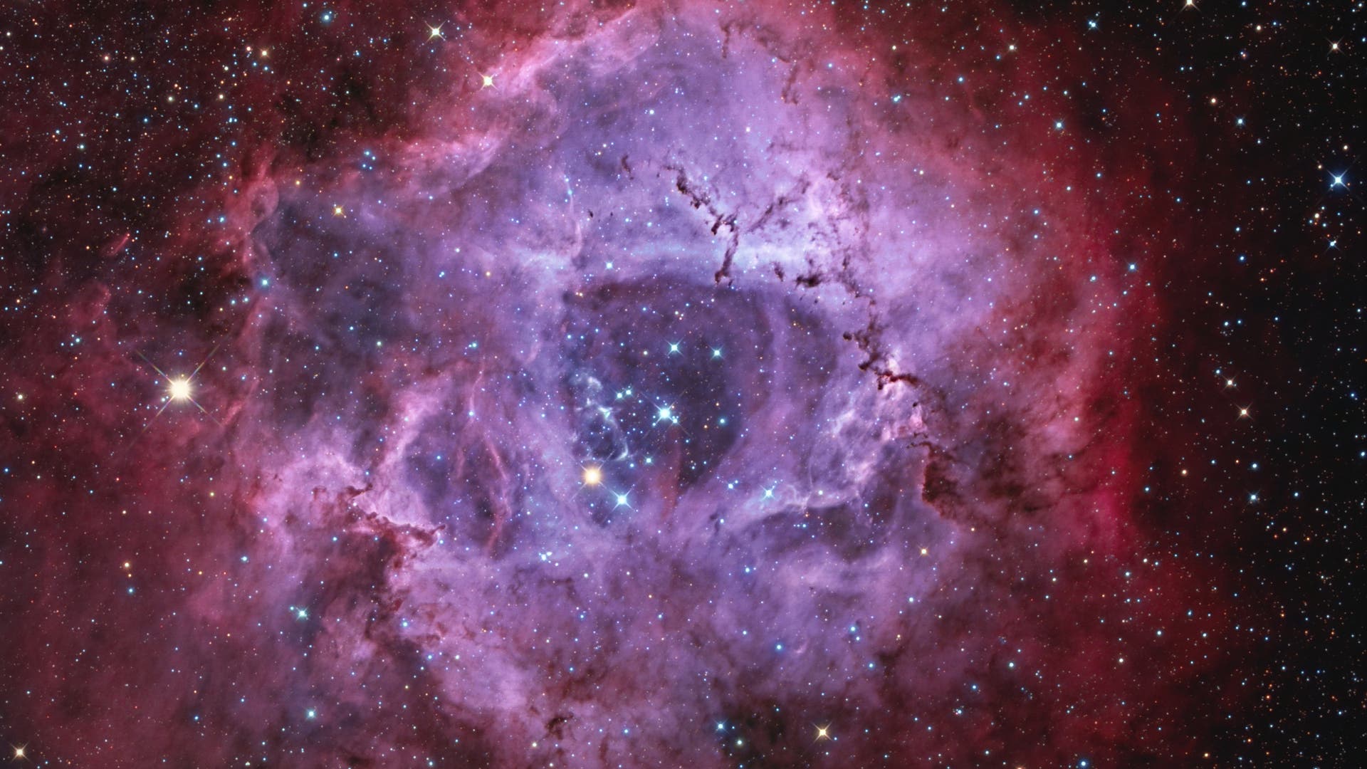 NGC 2237, der Rosettennebel im Sternbild Einhorn 