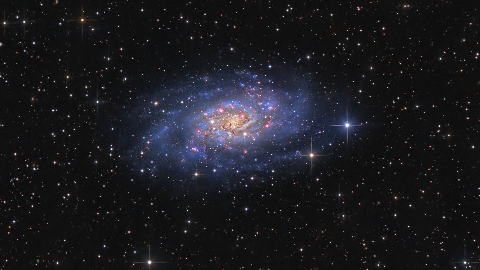NGC 2403 Spektrum der Wissenschaft