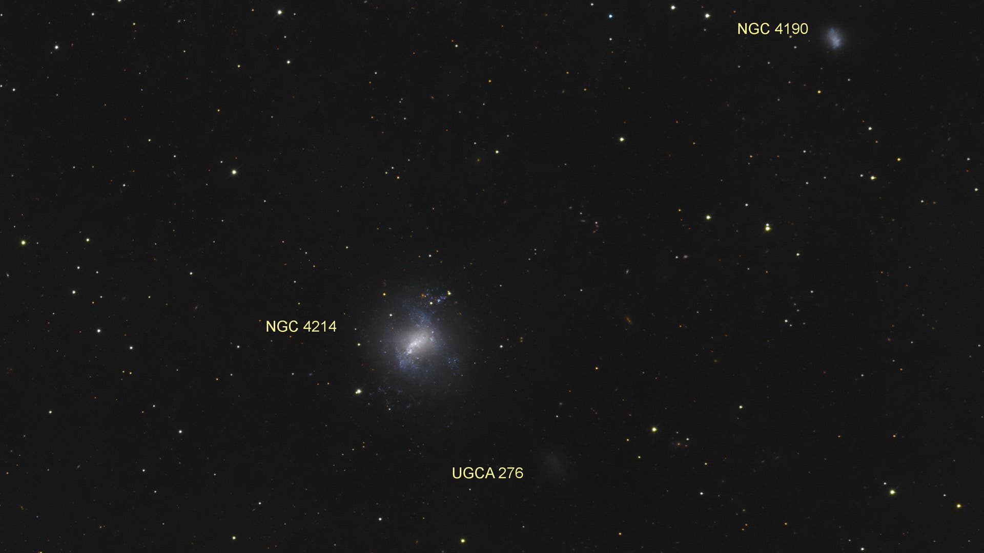NGC 4214 mit 12ZollASAAstrograph Spektrum der Wissenschaft