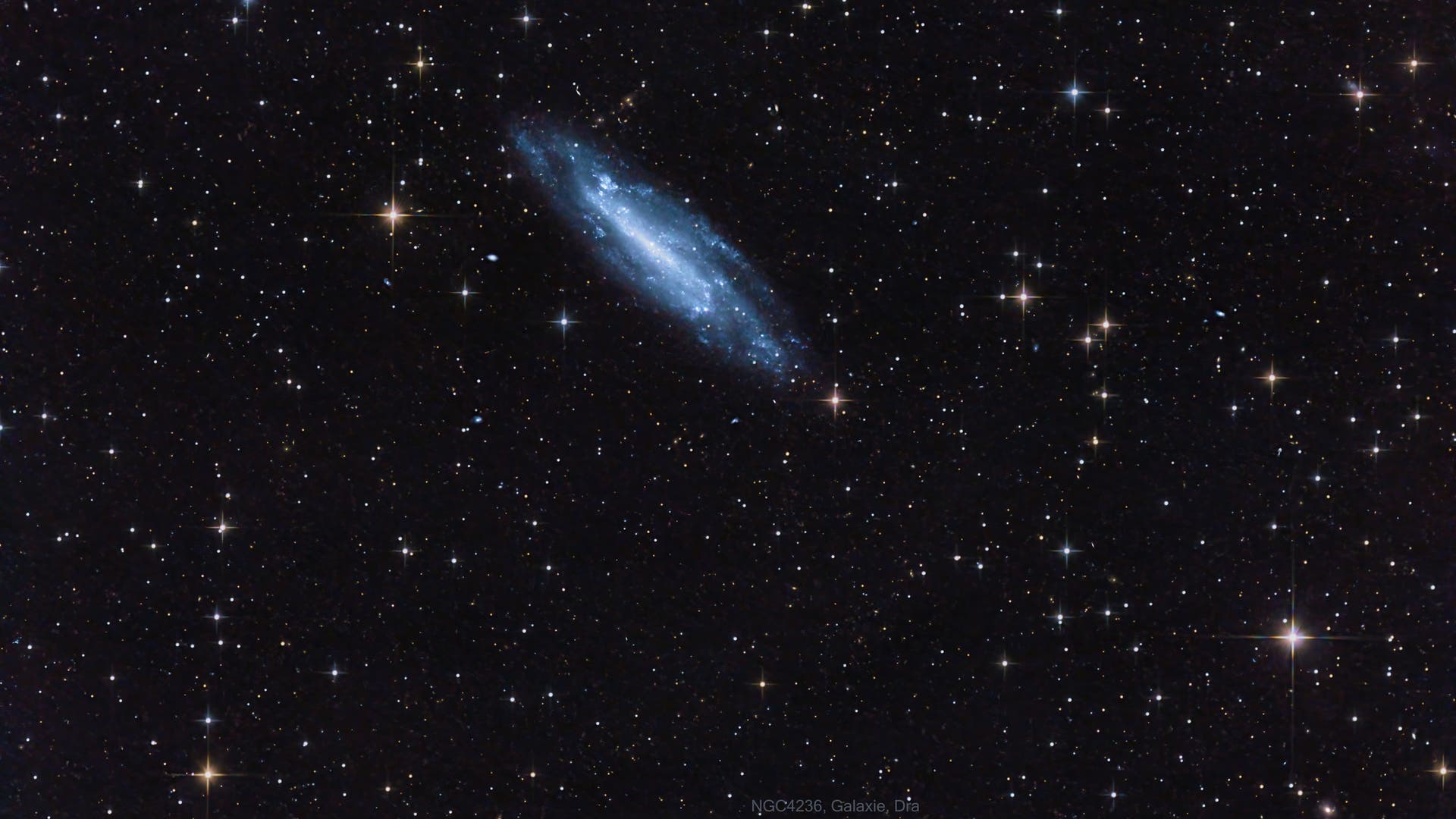 NGC 4236 Spektrum der Wissenschaft
