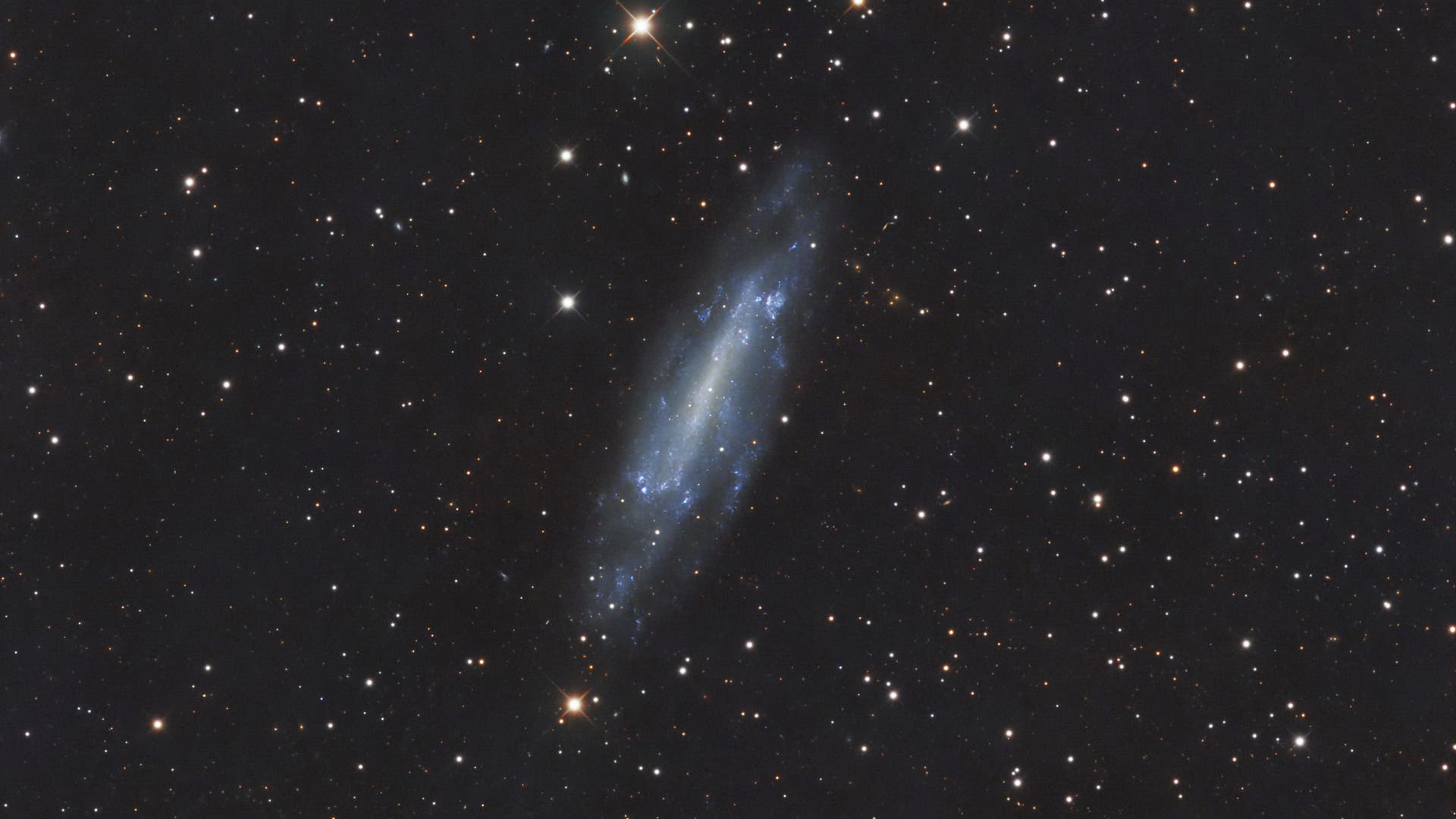 NGC 4236 (hellere Version) Spektrum der Wissenschaft