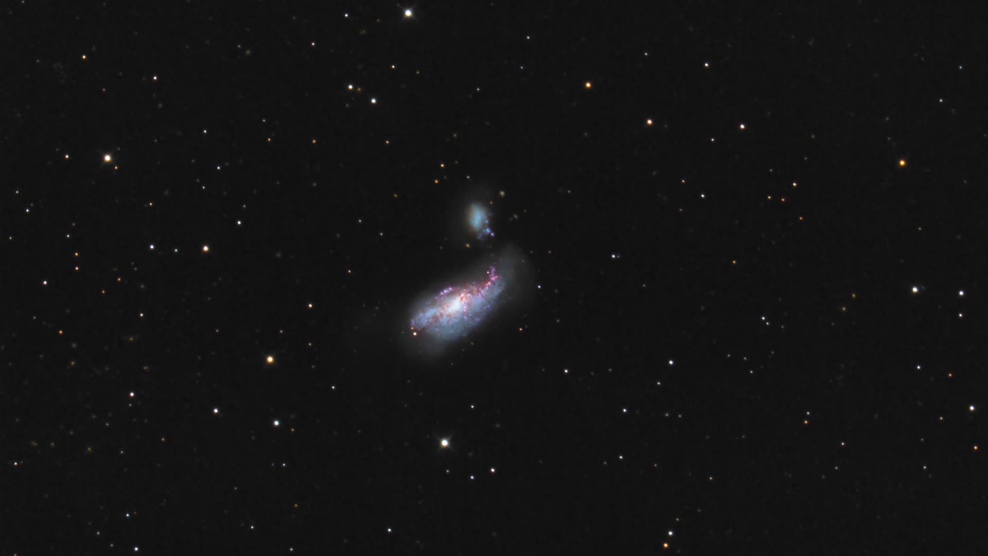 NGC 4490 NGC 4485 Spektrum der Wissenschaft