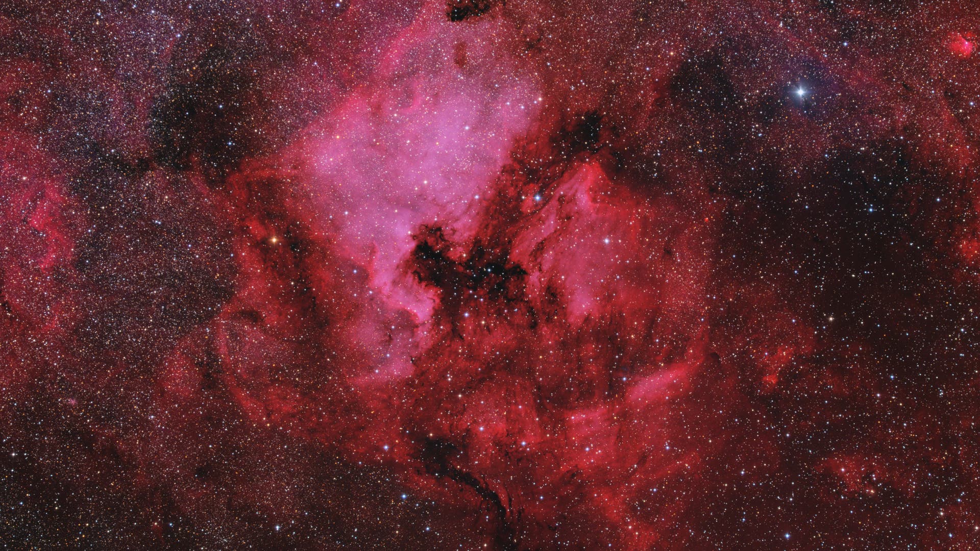Region um NGC 7000 / IC 5070 Spektrum der Wissenschaft