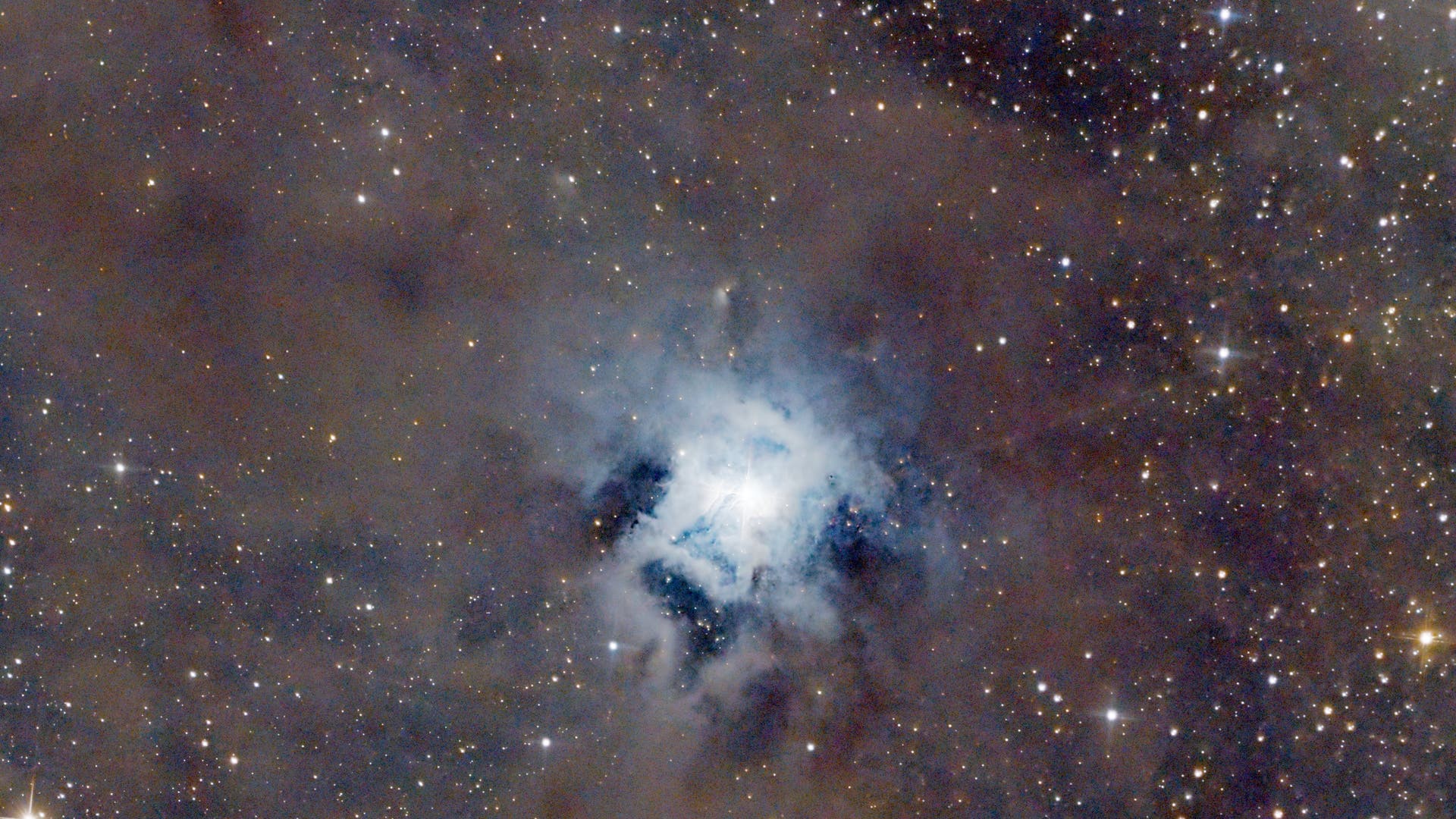 NGC 7023 Spektrum der Wissenschaft