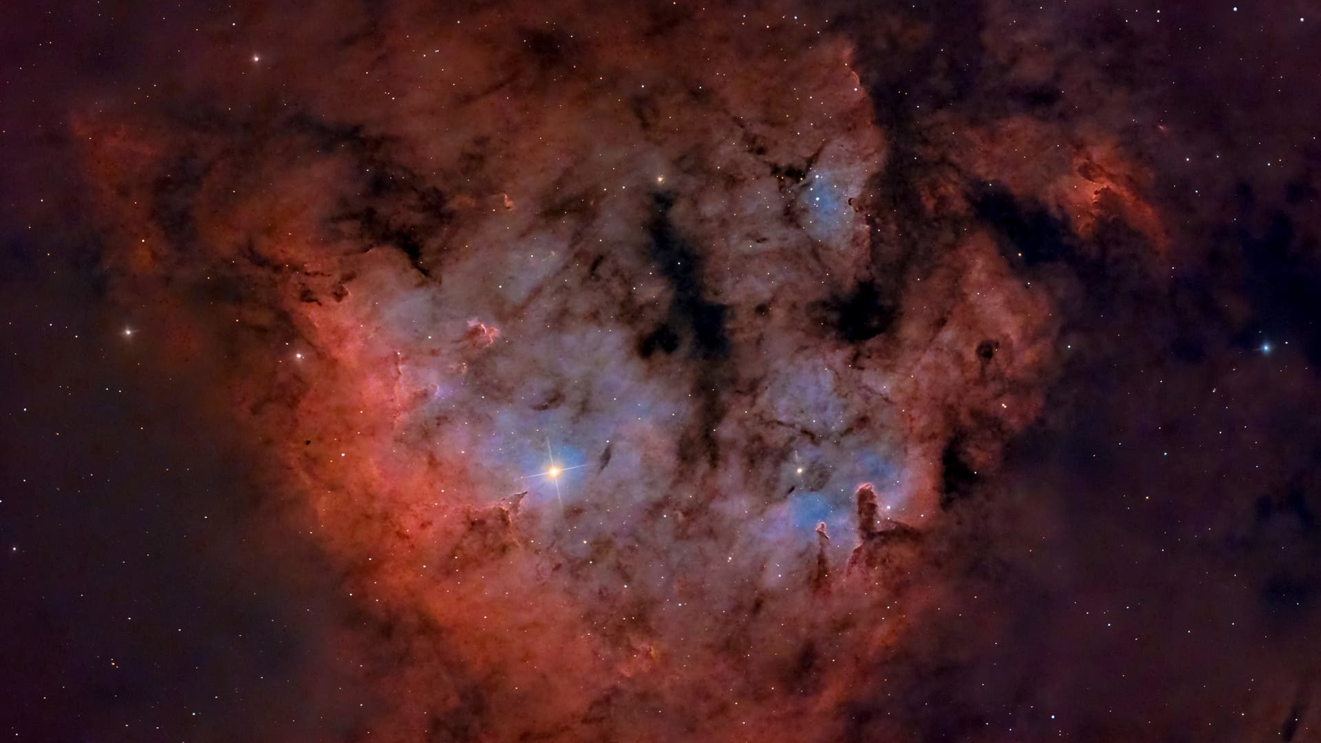 NGC 7822 Spektrum der Wissenschaft