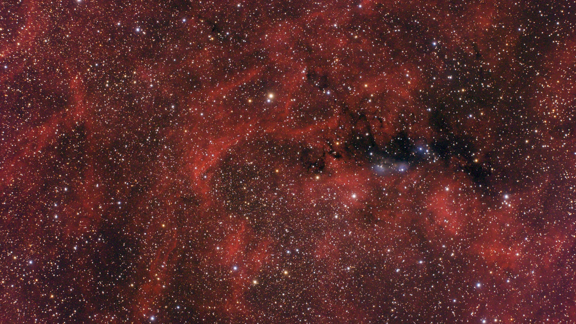NGC 6914 Spektrum der Wissenschaft