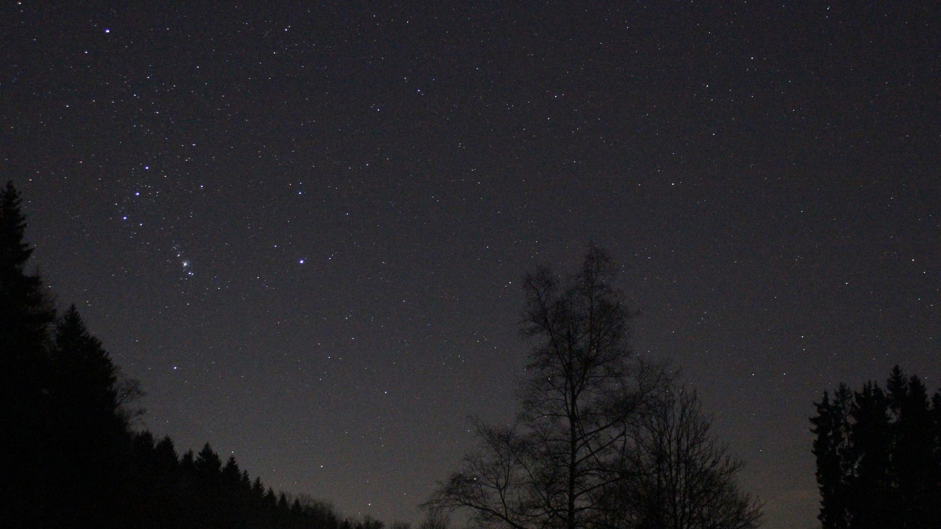 Orion und Eridanus Spektrum der Wissenschaft