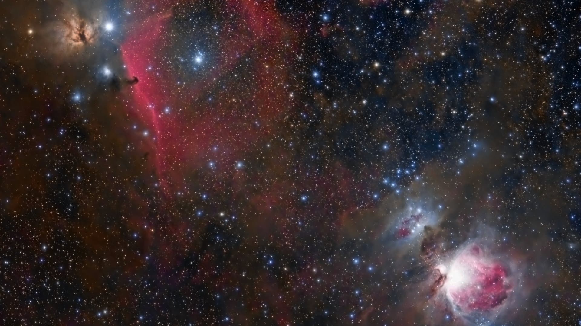 Orion / Südteil - Spektrum der Wissenschaft