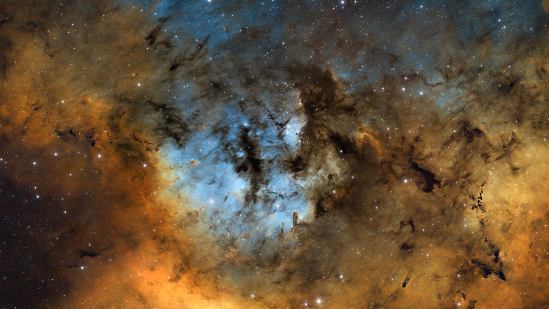 CED 214 / NGC 7822