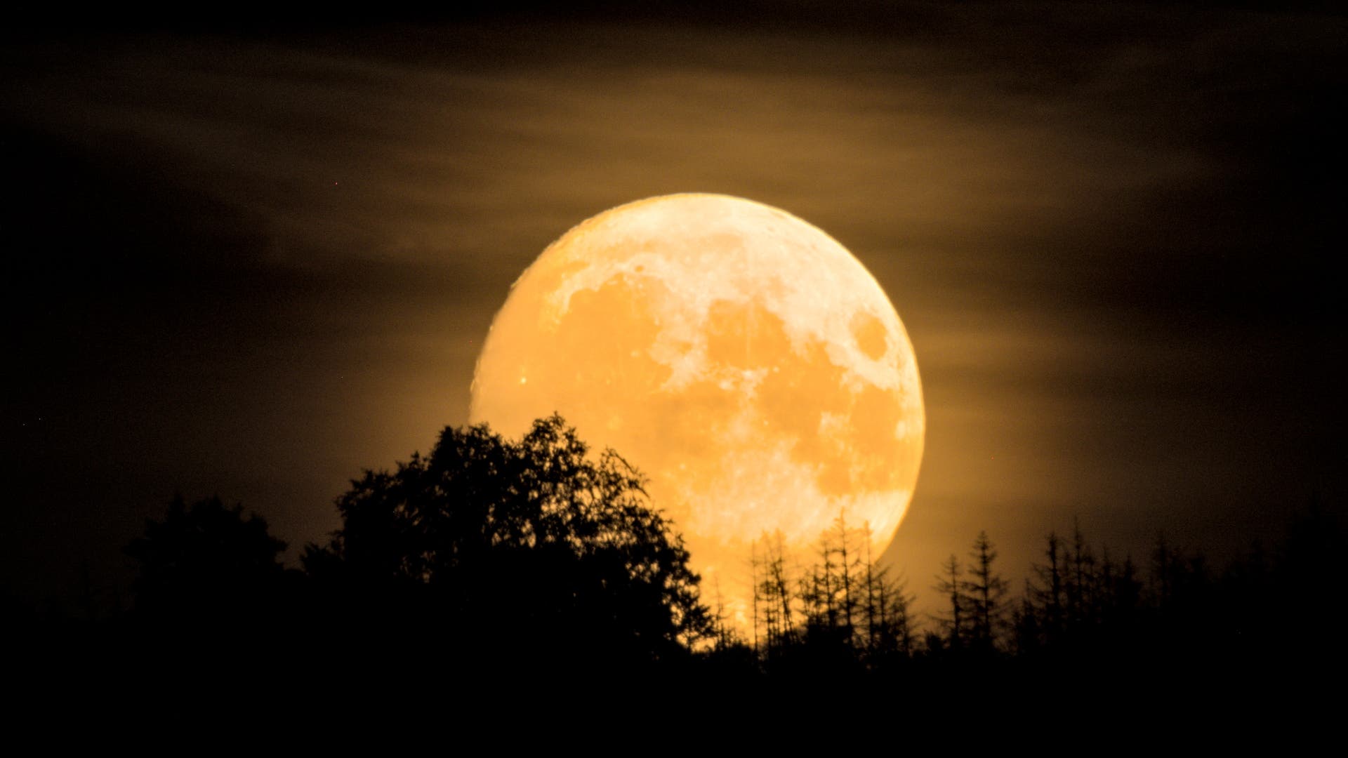 Nearly Blue Moon Spektrum der Wissenschaft